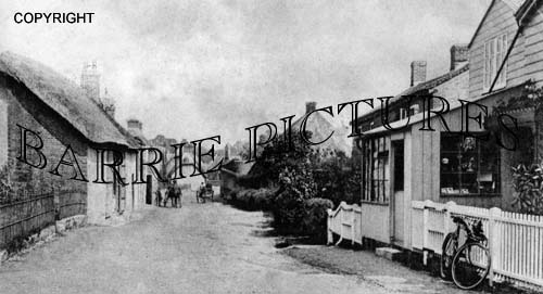 Okeford Fitzpaine, Village c1901