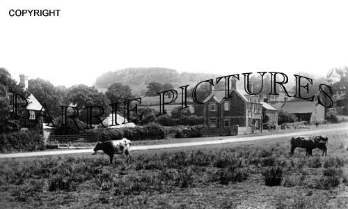 Semley, Village c1925