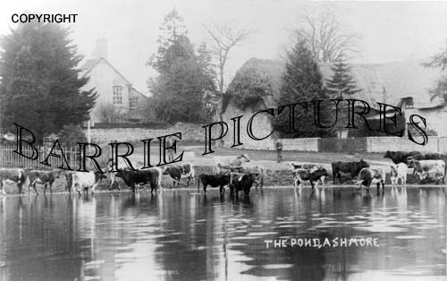 Ashmore, The Pond c1900