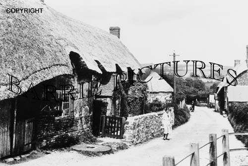Bingham's Melcombe, c1920