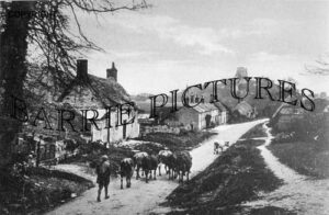 Corfe Castle, Village c1890