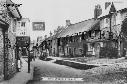 Evershot, Fore Street c1910