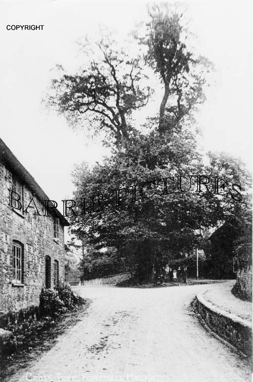 Fontmell Magna, Cross Tree c1900