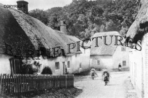 Milborne St Andrew, Village c1900