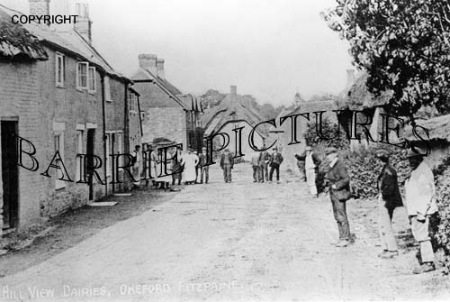 Okeford Fitzpaine, Hill View Dairies c1910