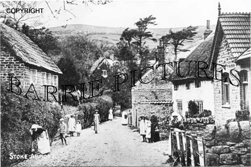 Stoke Abbot, Village c1900