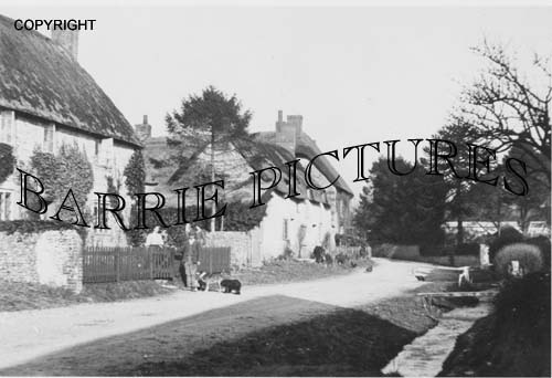 Sydling, Village c1910
