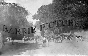 Tolpuddle, South Dorset Foxhounds c1905