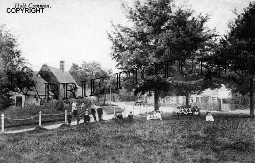 Holt, Common c1890