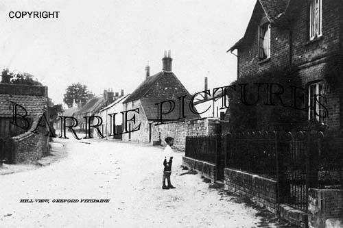 Okeford Fitzpaine, Hill View c1900