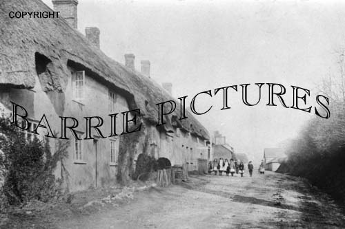 Dewlish, Village c1900
