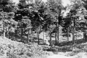 Broadstone, The Glen c1930