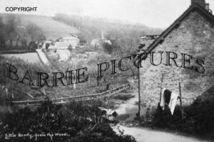 Little Bredy, from the Woods c1900