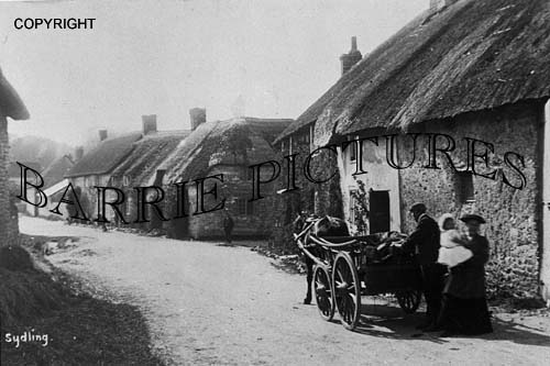Sydling, Village c1900