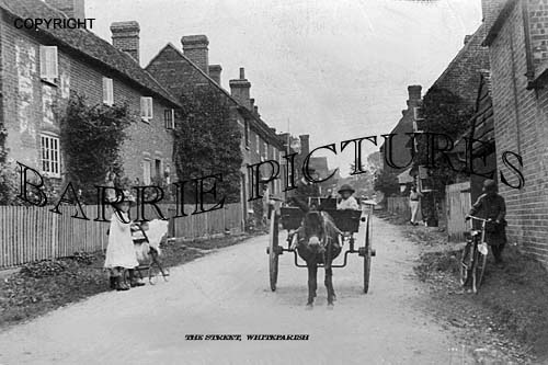 Whiteparish, The Street c1905