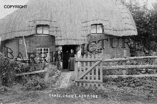 Ashmore, Grass Groue c1900