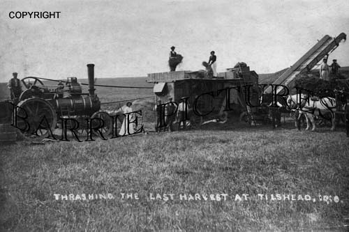 Tilshead, The Last Harvest 1910