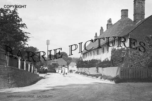 Salisbury, Harnham Village c1900