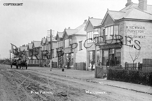 Wallisdown, Pine Parade c1905