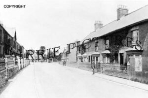 Chard, c1910
