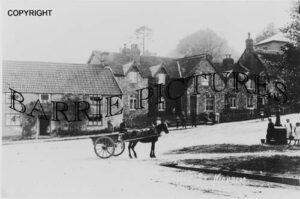 Combe St Nicholas, Village c1900
