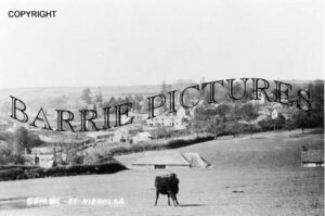 Combe St Nicholas, Village c1920