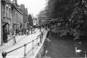 Frome, Willow Vale/River Frome c1910