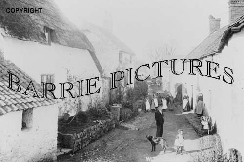 Withycombe, Village c1910