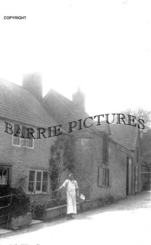 Horsington, The Bakery June 1916