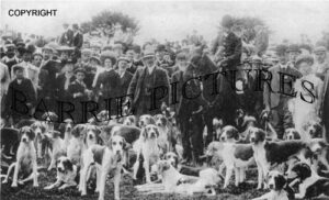 Cloutsham, Devon and Somerset Staghounds c1900