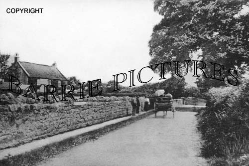 Yatton, the Moor Road c1910
