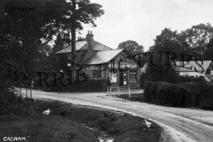 Cadnam, Village Store c1920