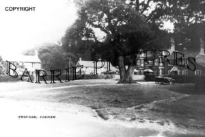 Cadnam, Twin Oak c1920