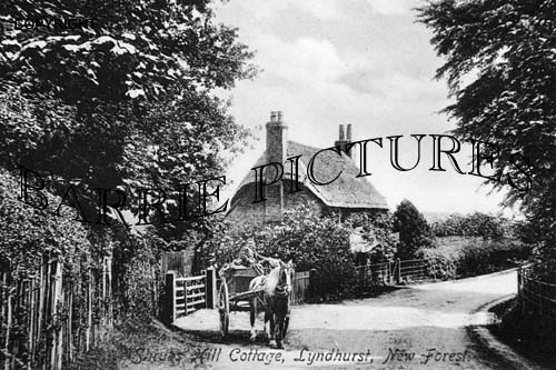 Lyndhurst, Shrubs Hill Cottage c1900