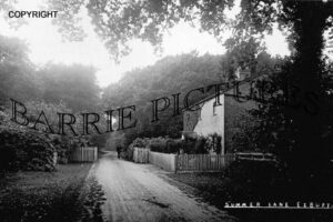 Exbury, Summer Lane c1930