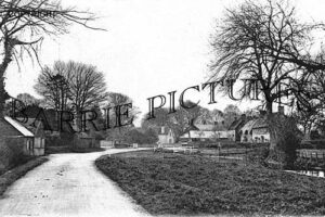 Cheriton, from North c1905