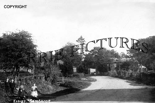 Kings Somborne, Village c1910
