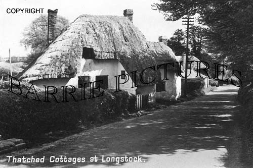 Longstock, Thatched Cottages c1950