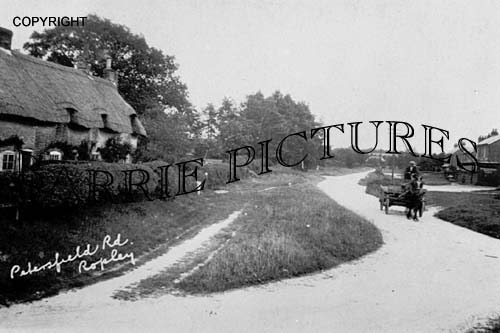 Ropley, Petersfield Road c1910