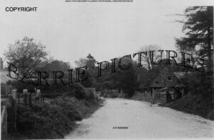 Dummer, Village c1910
