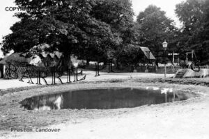 Preston Candover, Village Pond c1900