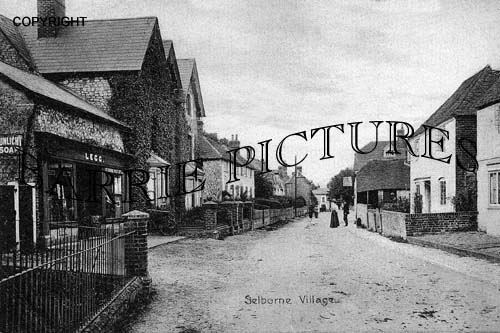 Selborne, Village c1900