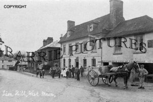West Meon, Lion Hill c1910