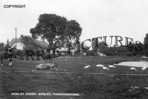South Gorley, Green c1920