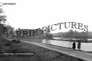 Fordingbridge, Bickton Mill c1920