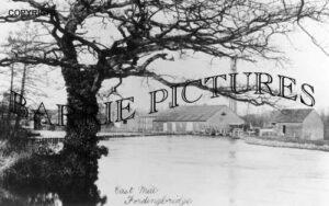 Fordingbridge, East Mill c1910