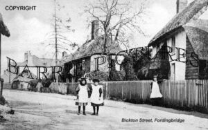 Fordingbridge, Bickton Street c1900