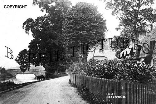 Ibsley, Village c1900