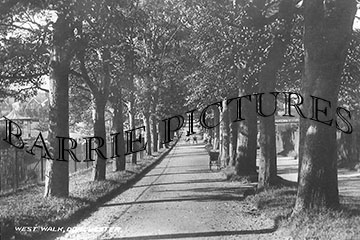 Dorchester, West Walk c1920