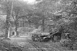 Hythe, Nelsons Lodge Lane c1910